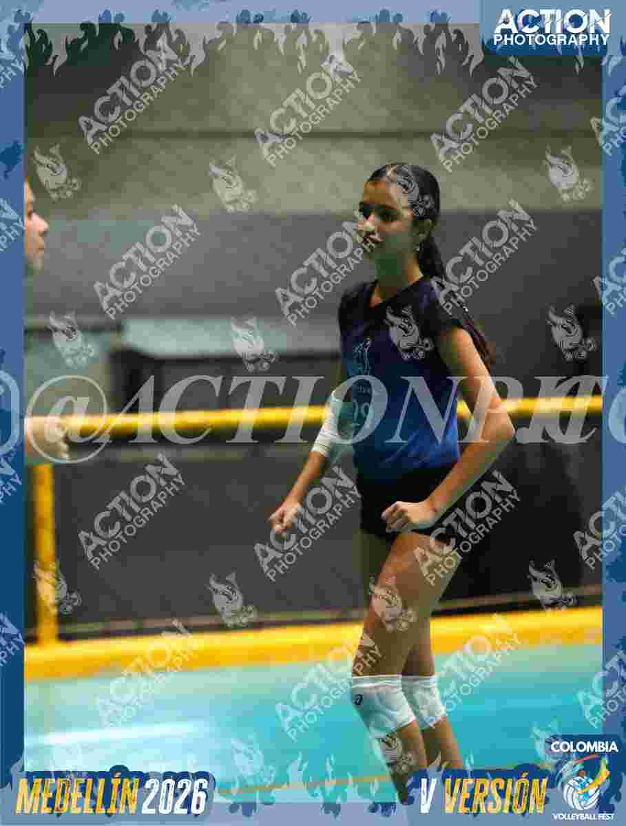 WOLVES Foto 1