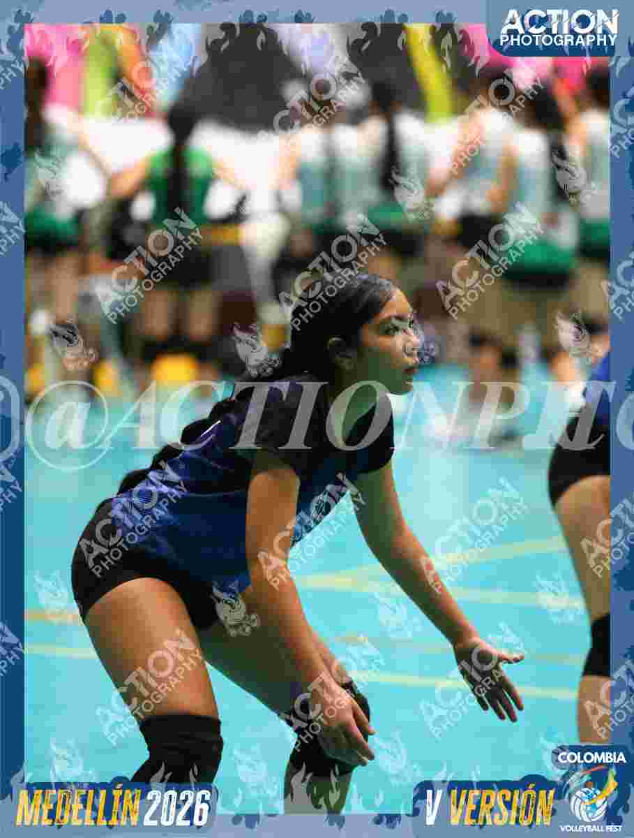 WOLVES Foto 1