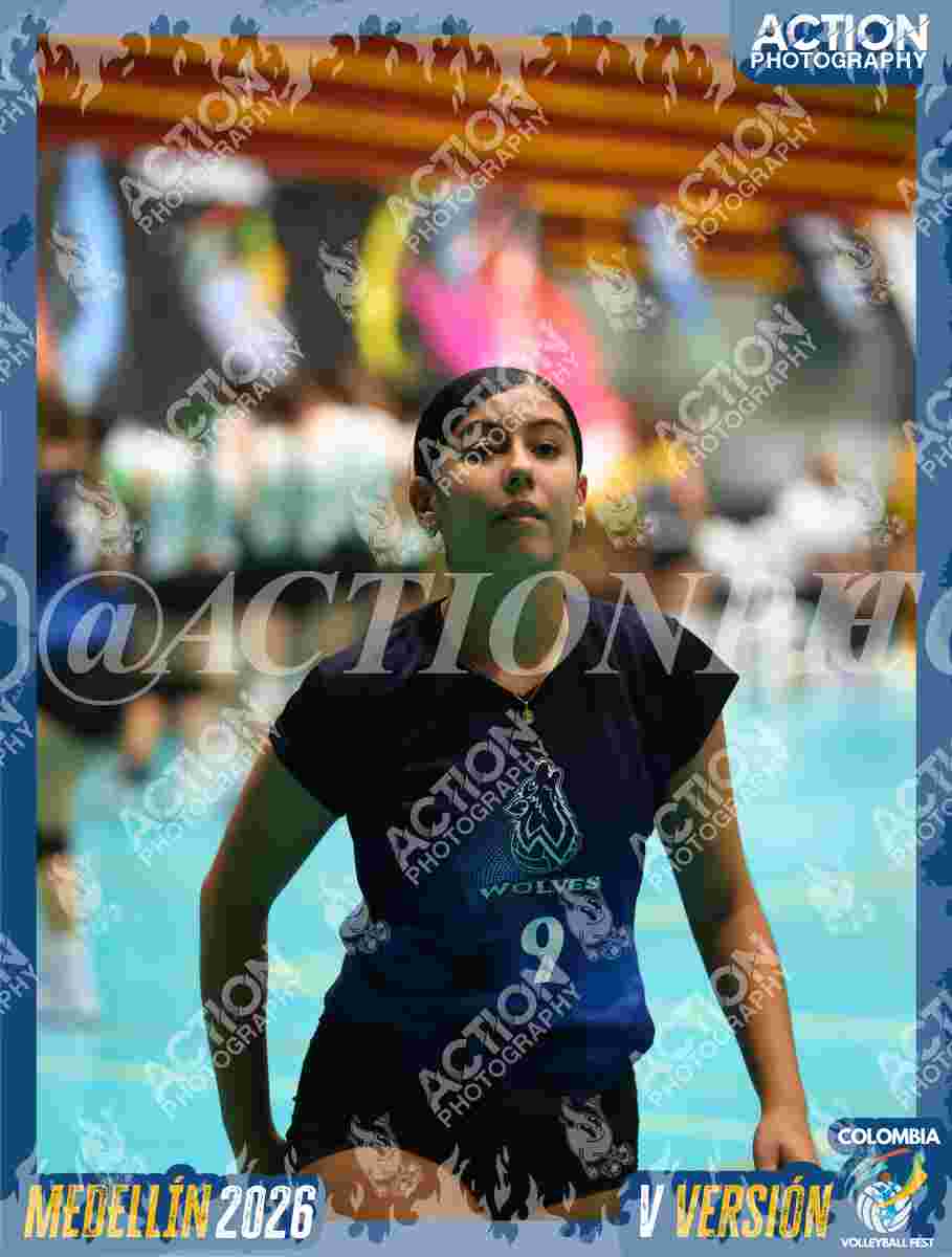 WOLVES Foto 11