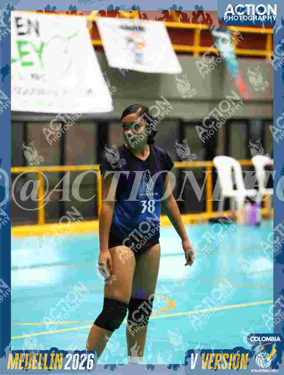 WOLVES Foto 11