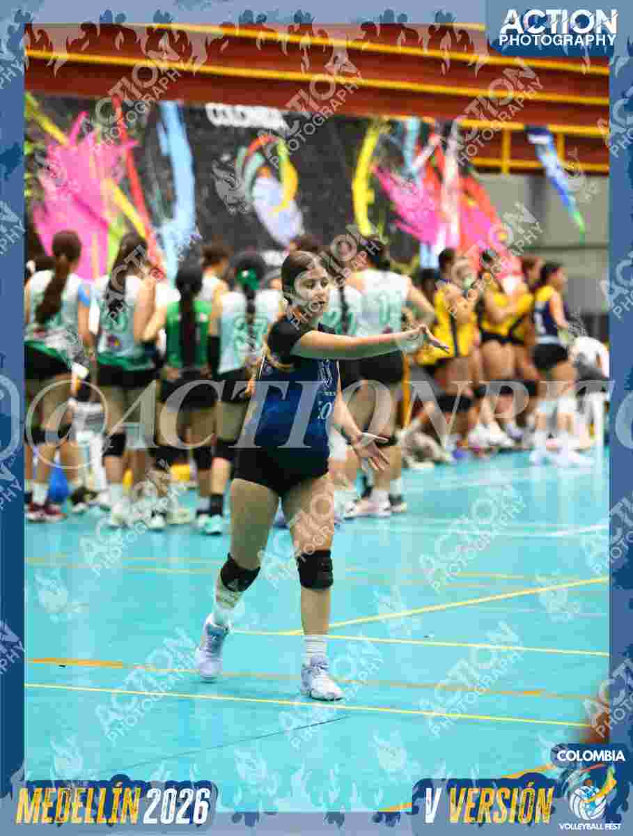 WOLVES Foto 11