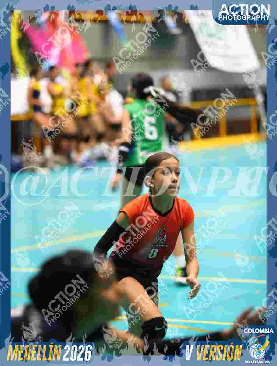 WOLVES Foto 11