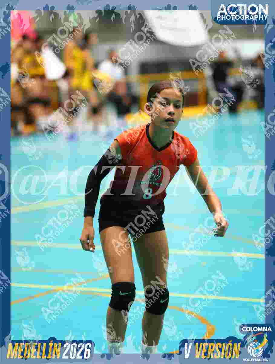 WOLVES Foto 11