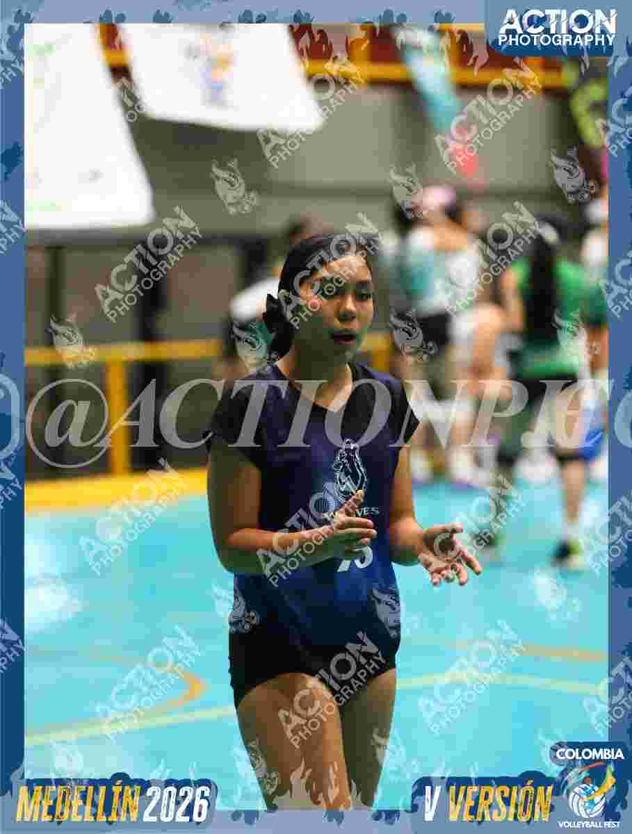 WOLVES Foto 11