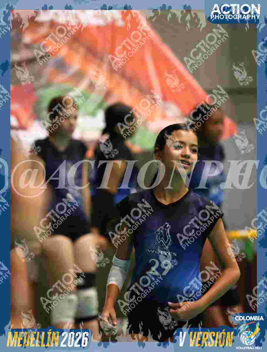 WOLVES Foto 11