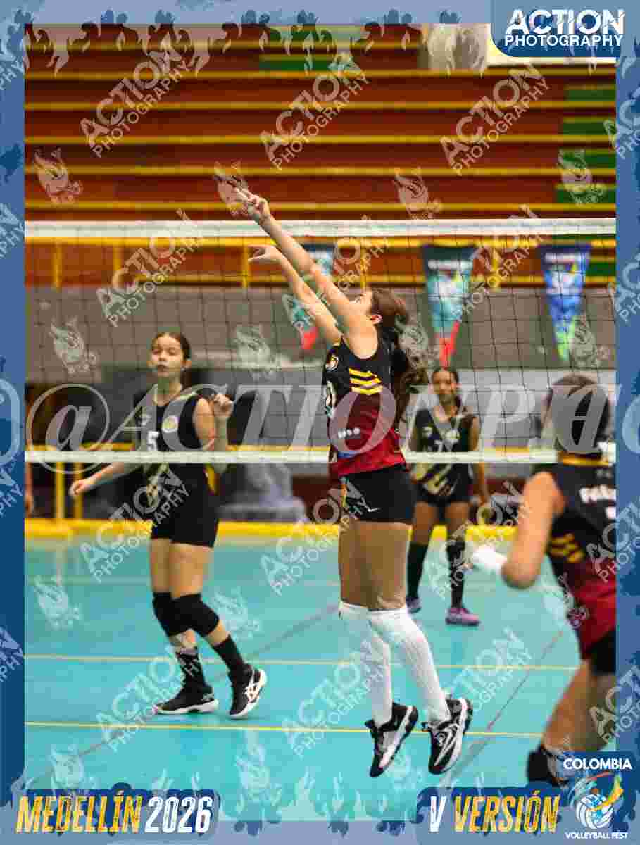 FALCON Foto 11