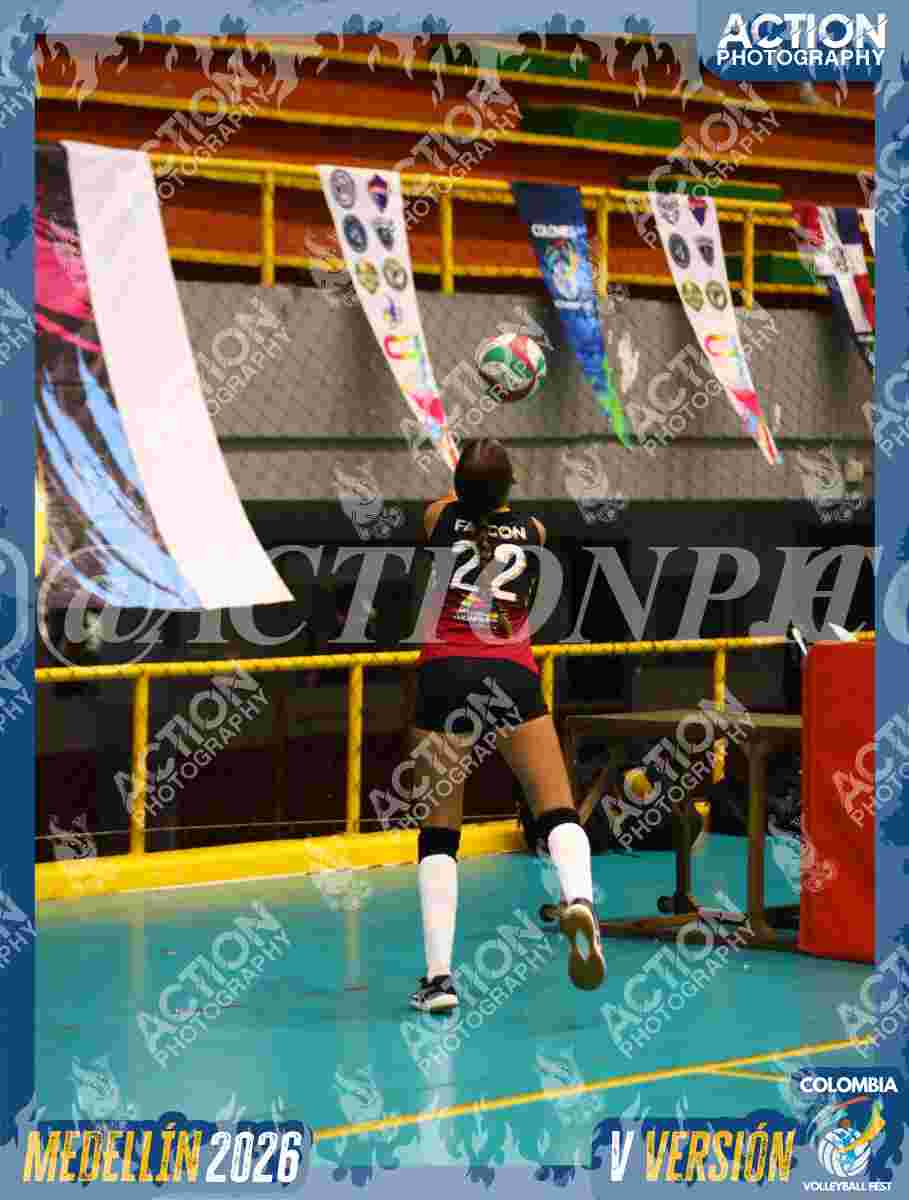 FALCON Foto 11