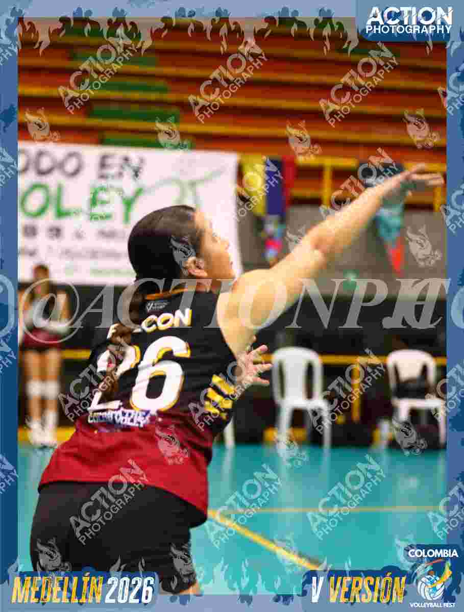FALCON Foto 11