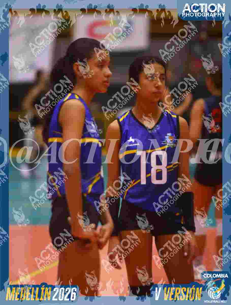TIGRES 2013 Foto 1