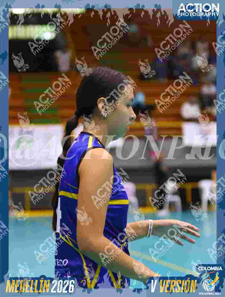 TIGRES 2013 Foto 3