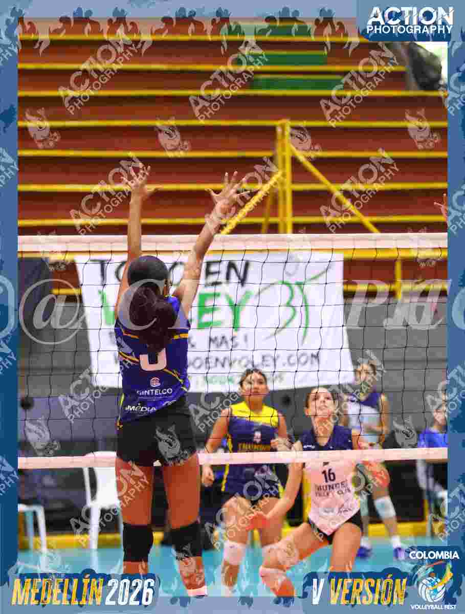 TIGRES 2013 Foto 4