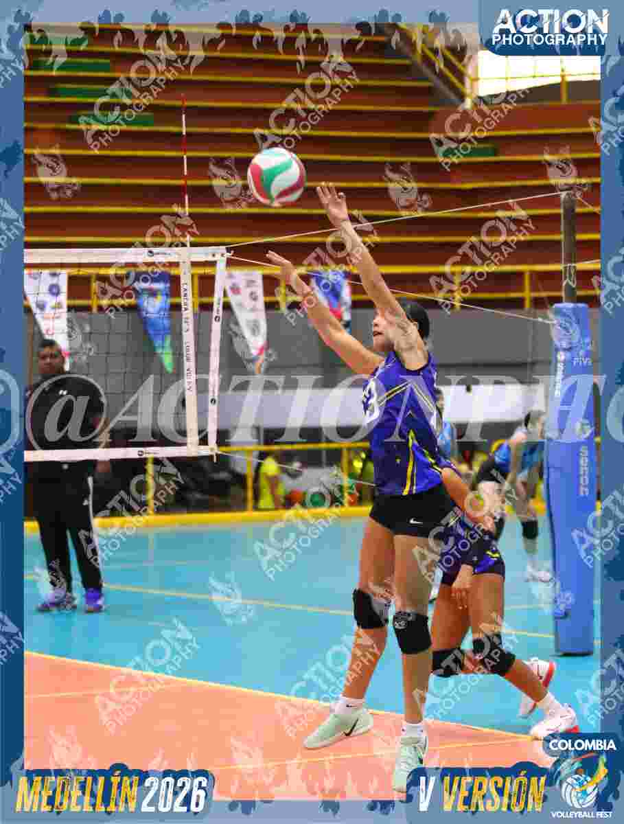 TIGRES 2013 Foto 4