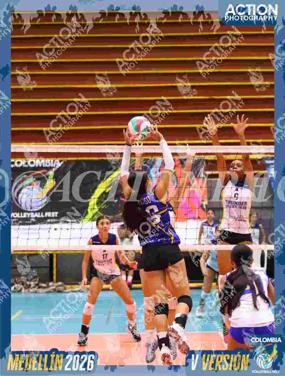 TIGRES 2013 Foto 4
