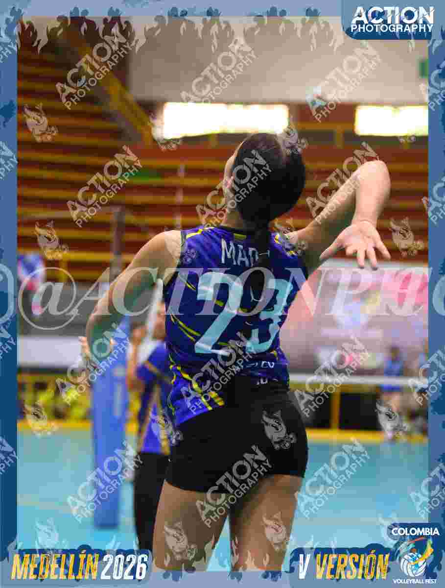 TIGRES 2013 Foto 4