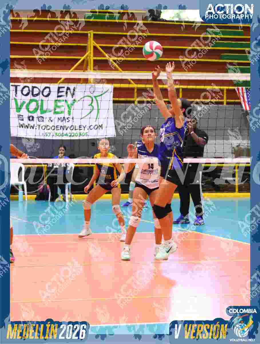 TIGRES 2013 Foto 4