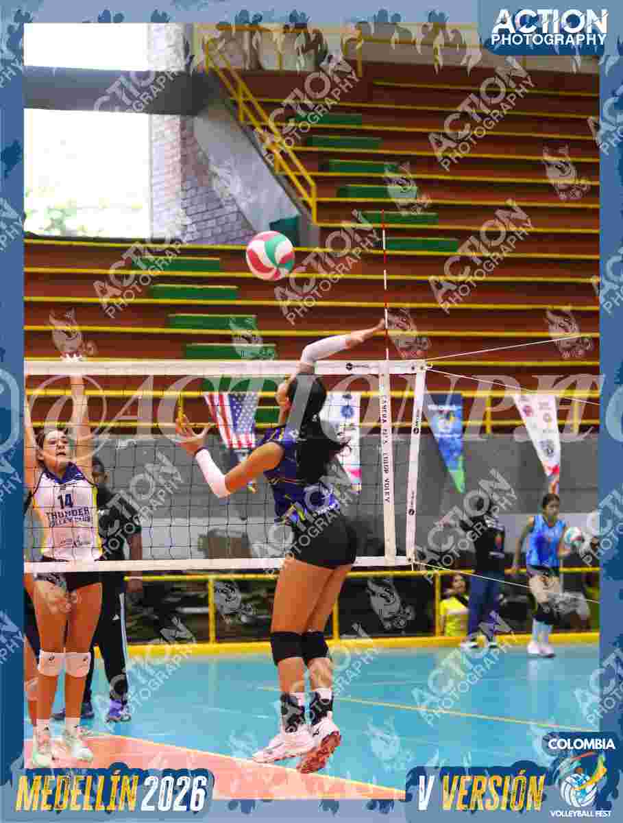 TIGRES 2013 Foto 14