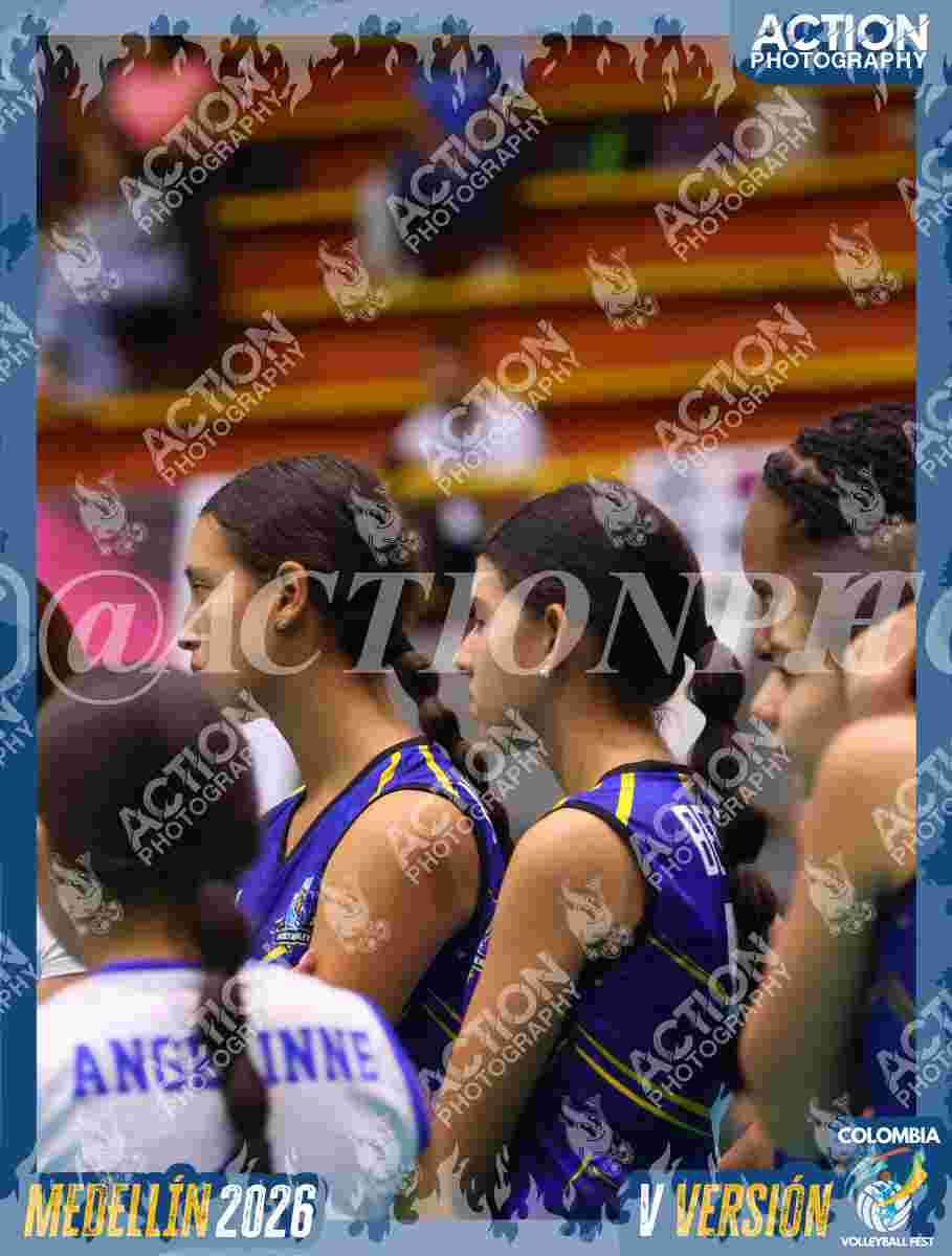 TIGRES 2013 Foto 4