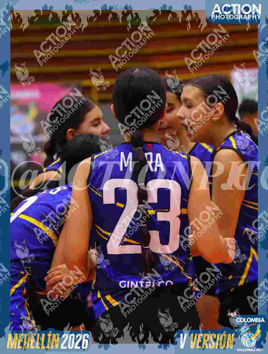 Preview de TIGRES 2013