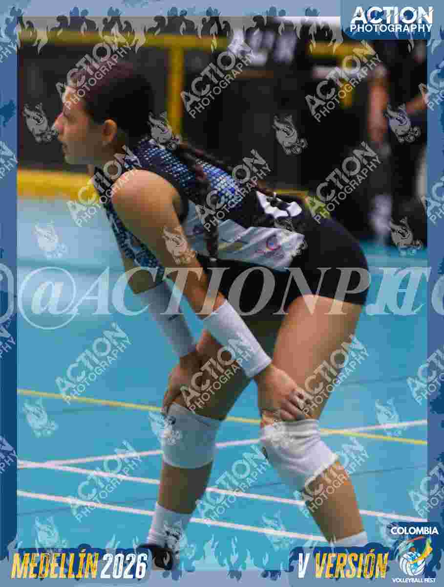 TIGRES 2013 Foto 1