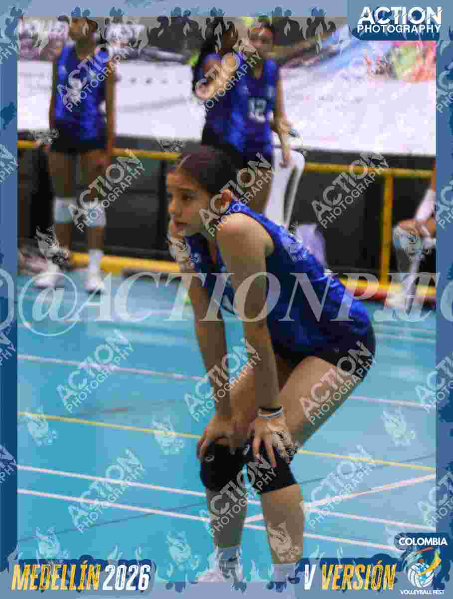 TIGRES 2013 Foto 11