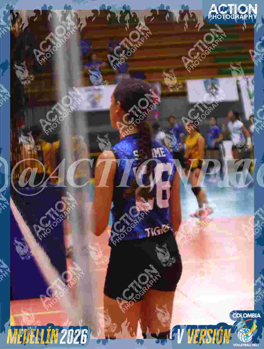 TIGRES 2013 Foto 1