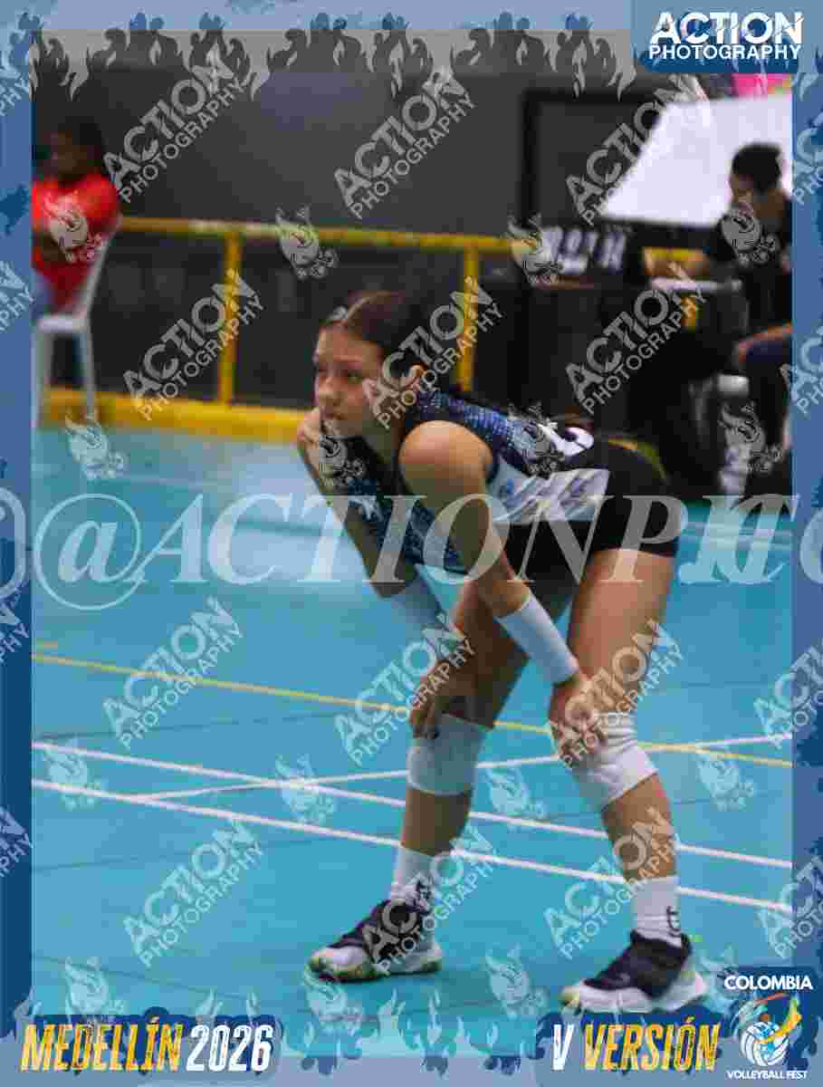 TIGRES 2013 Foto 1