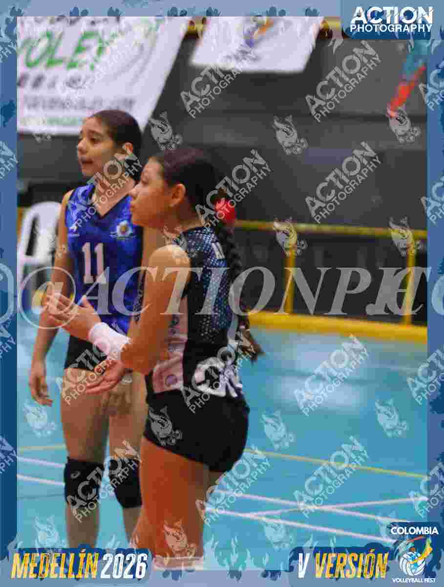 TIGRES 2013 Foto 1