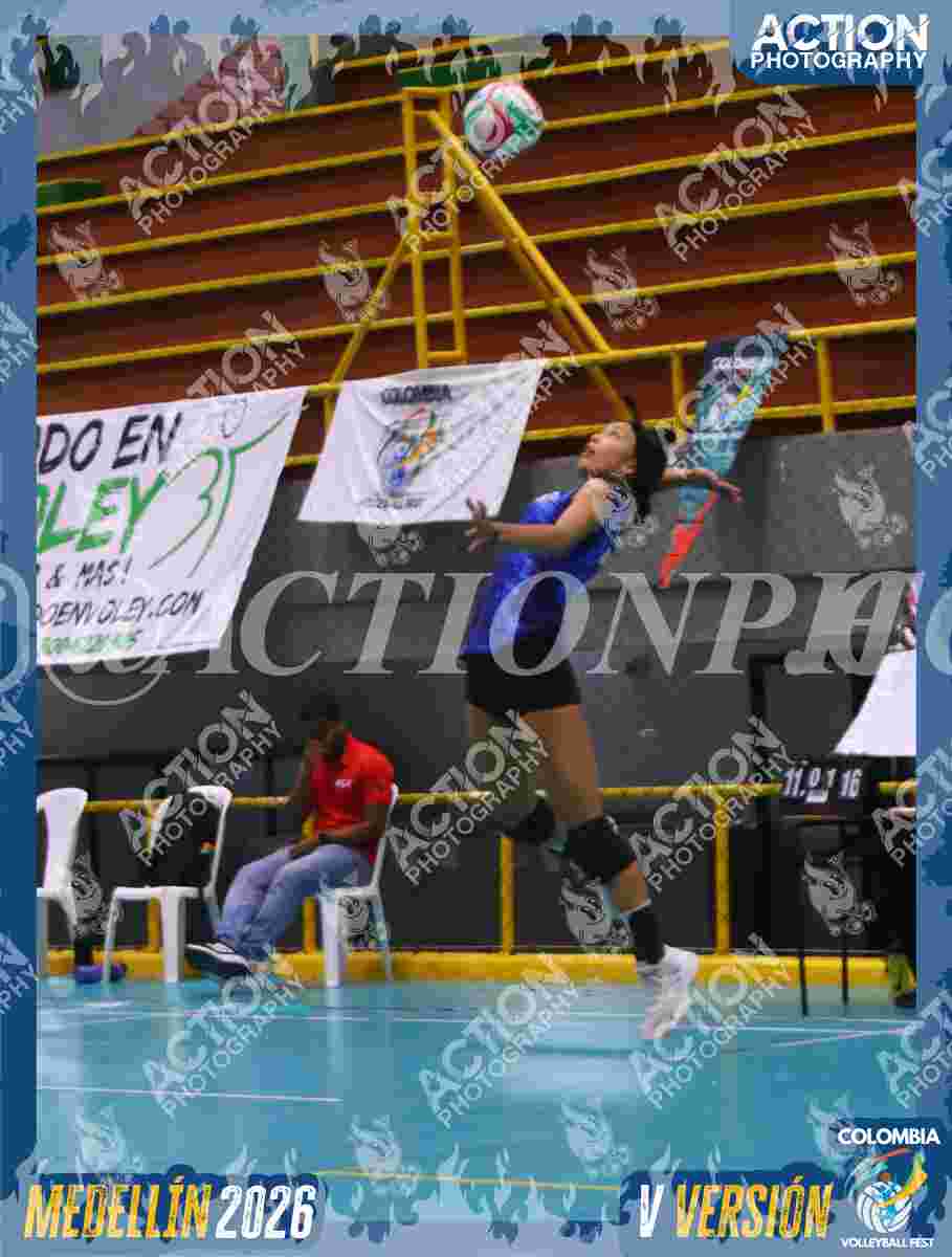 TIGRES 2013 Foto 11