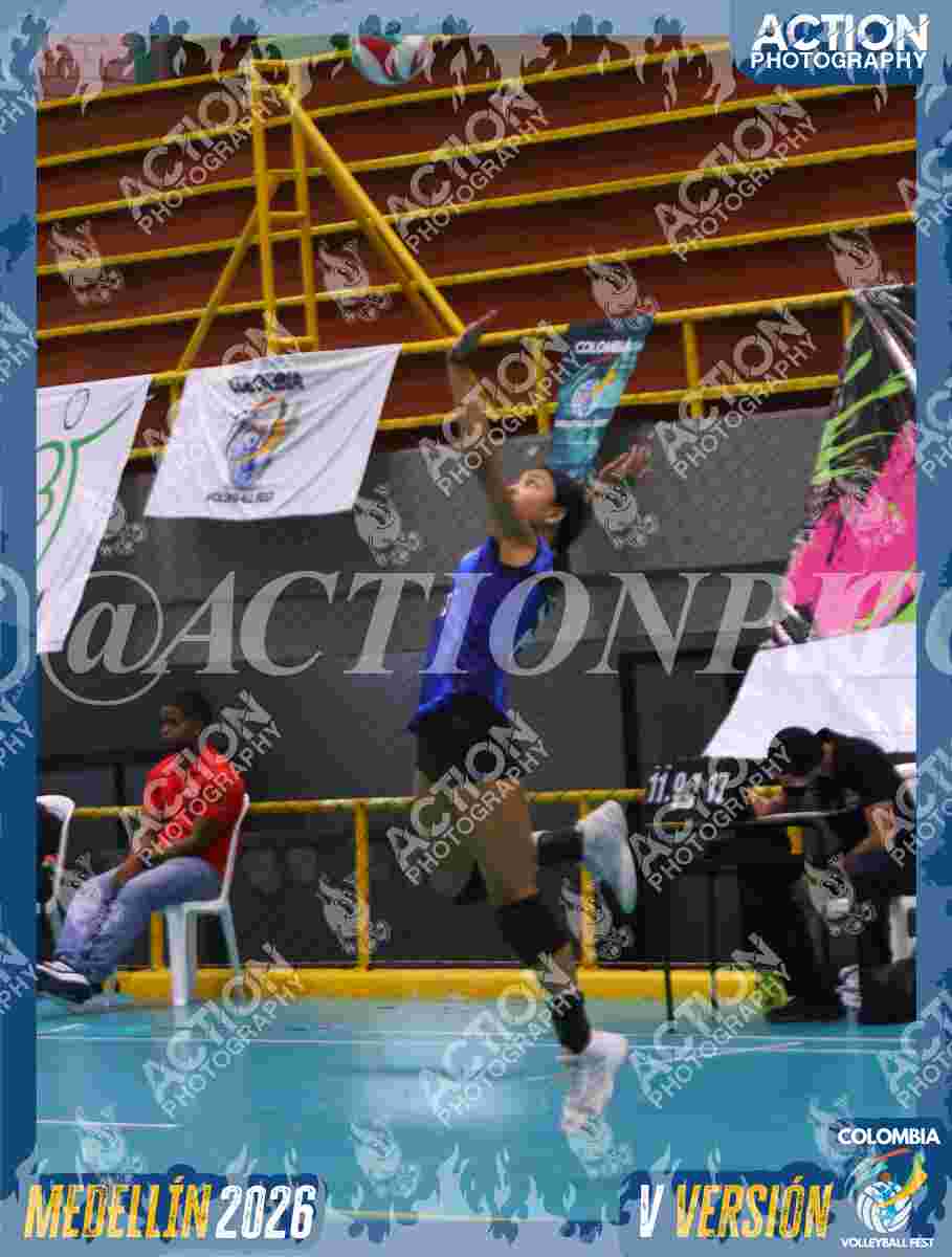 TIGRES 2013 Foto 11