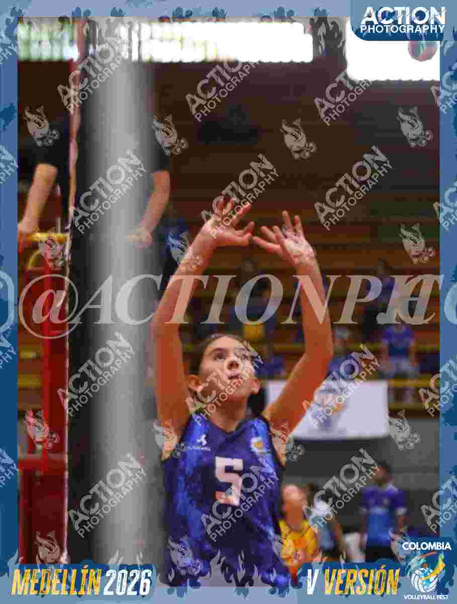 TIGRES 2013 Foto 11