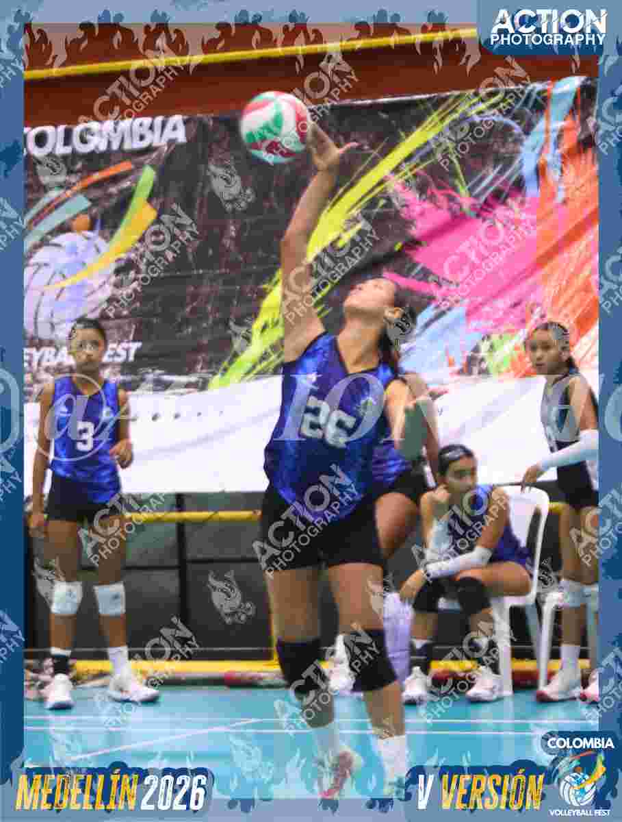 TIGRES 2013 Foto 11