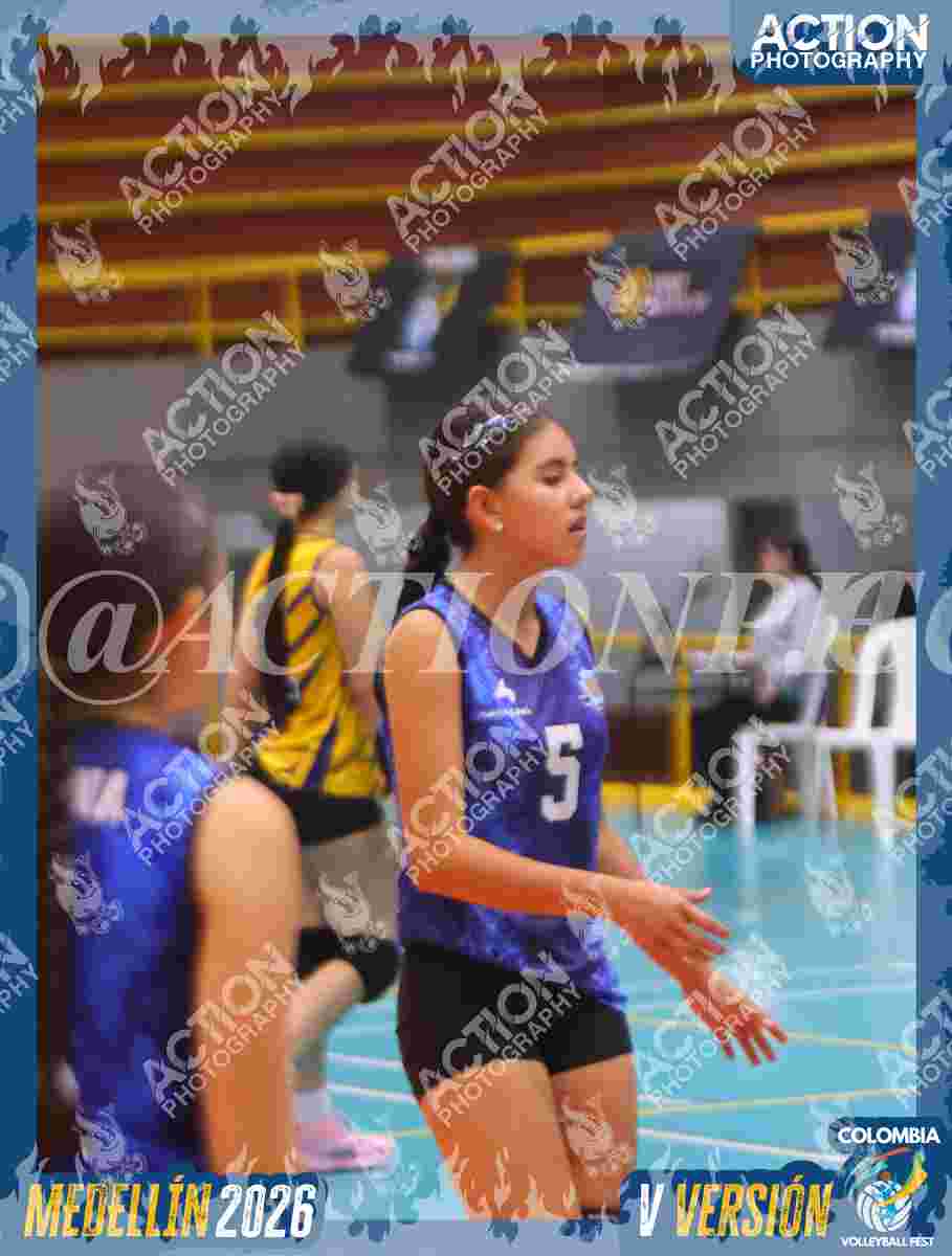 TIGRES 2013 Foto 11