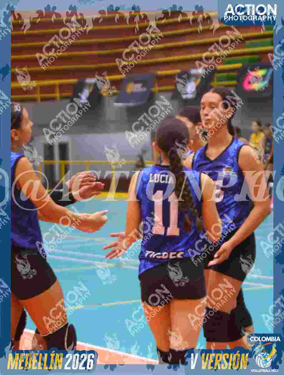 TIGRES 2013 Foto 11