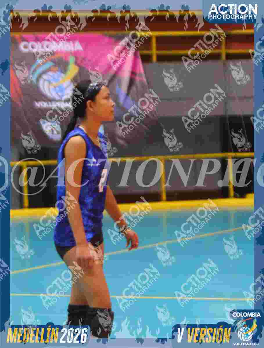 Preview de TIGRES 2013