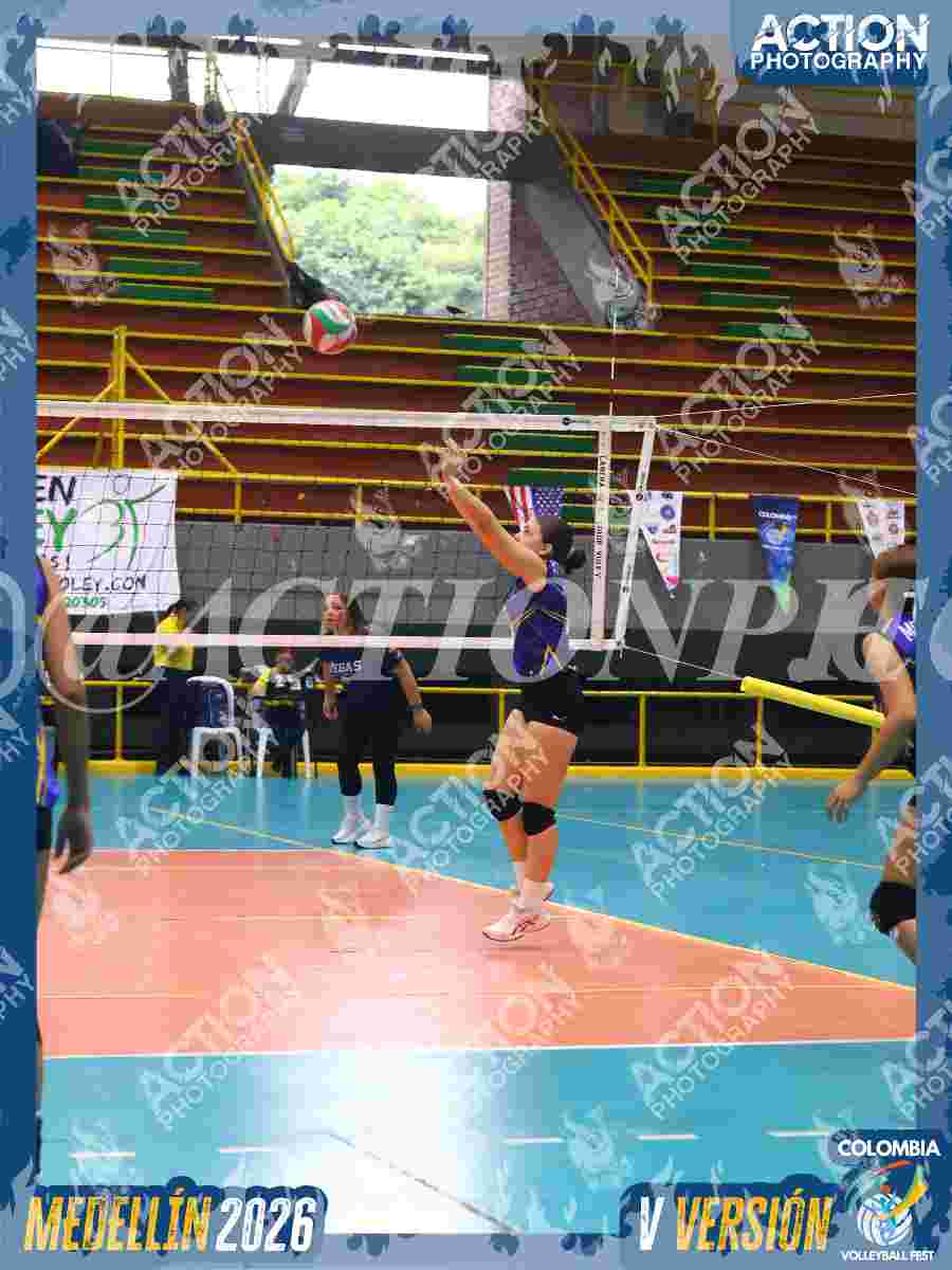 TIGRES JP Foto 1