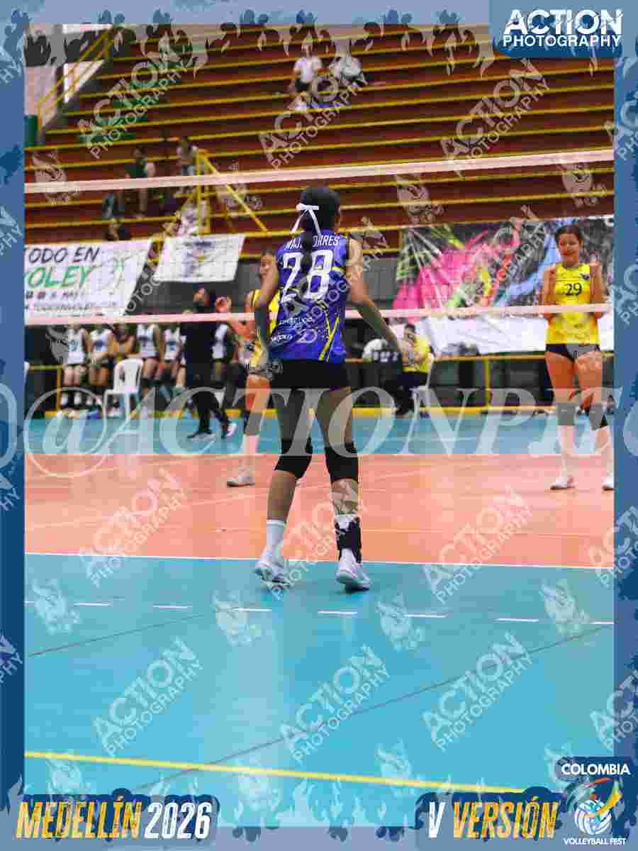 TIGRES JP Foto 1