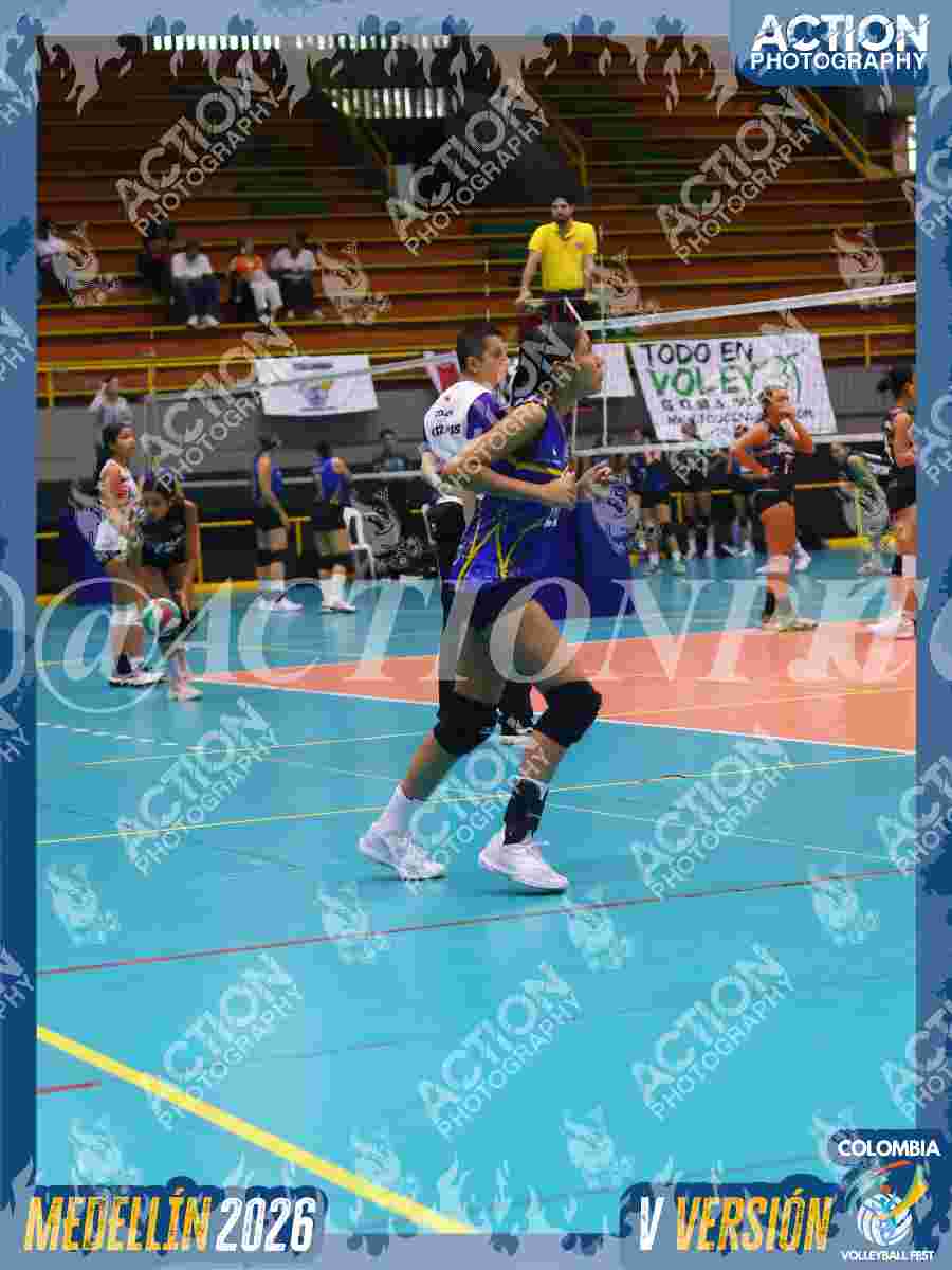 TIGRES JP Foto 1