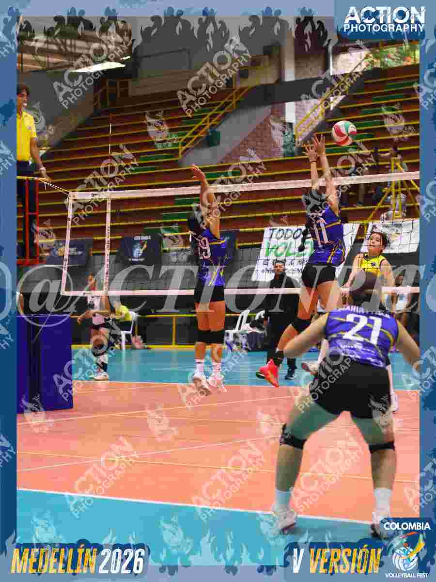 TIGRES JP Foto 1