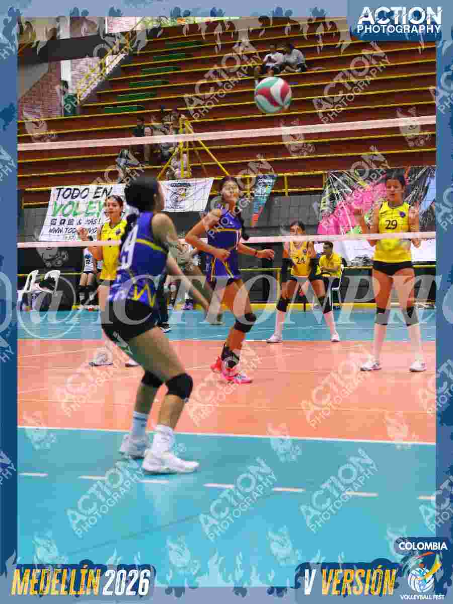 TIGRES JP Foto 1