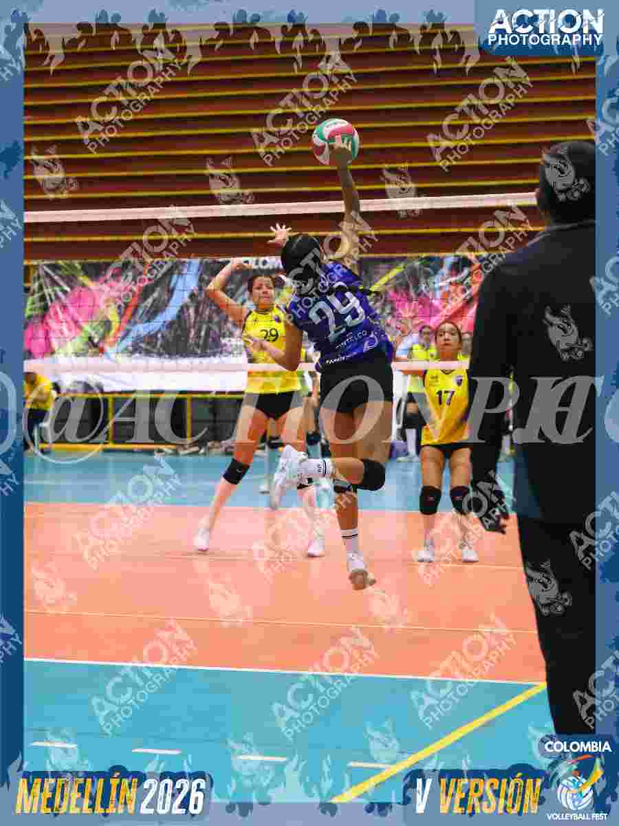 TIGRES JP Foto 1