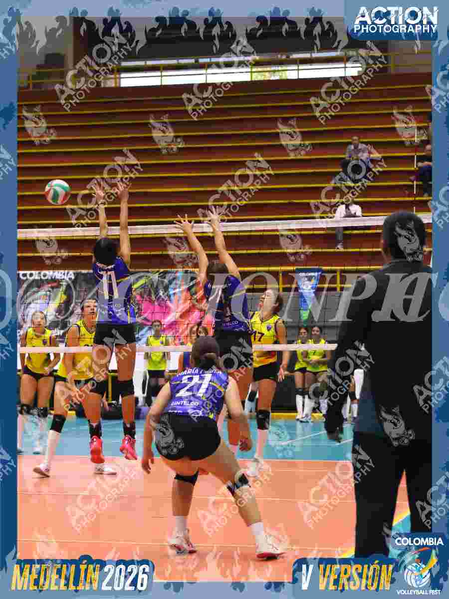 TIGRES JP Foto 1