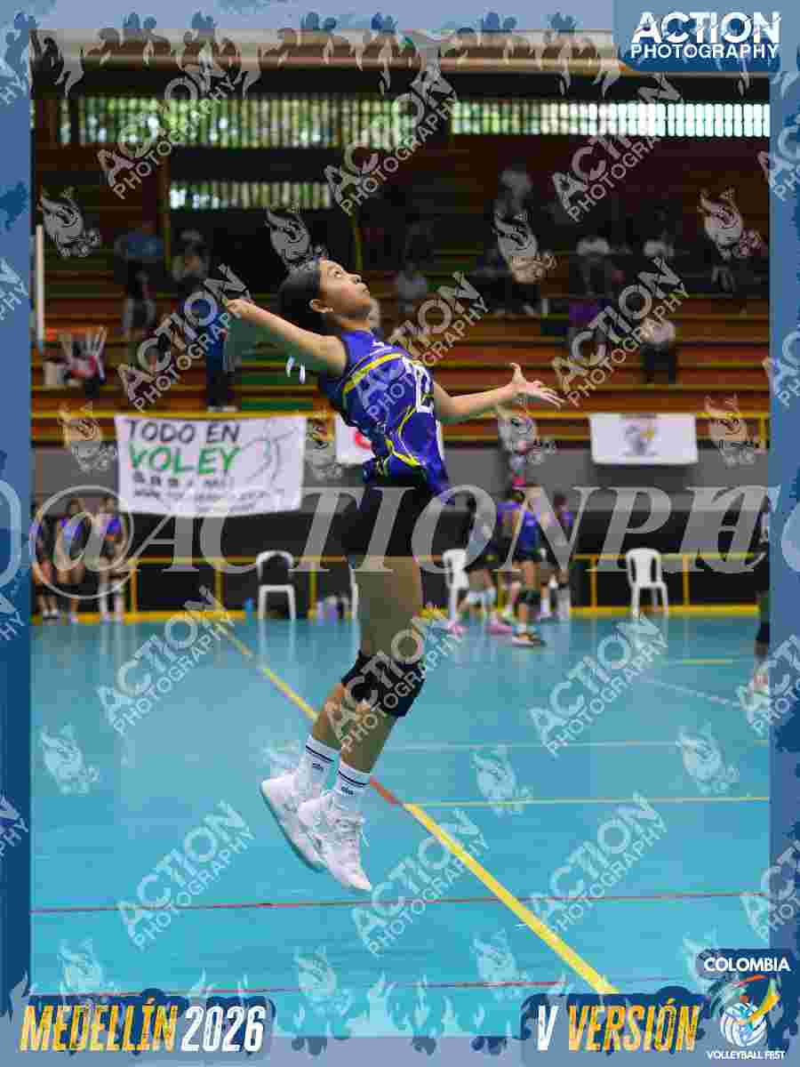 TIGRES JP Foto 11