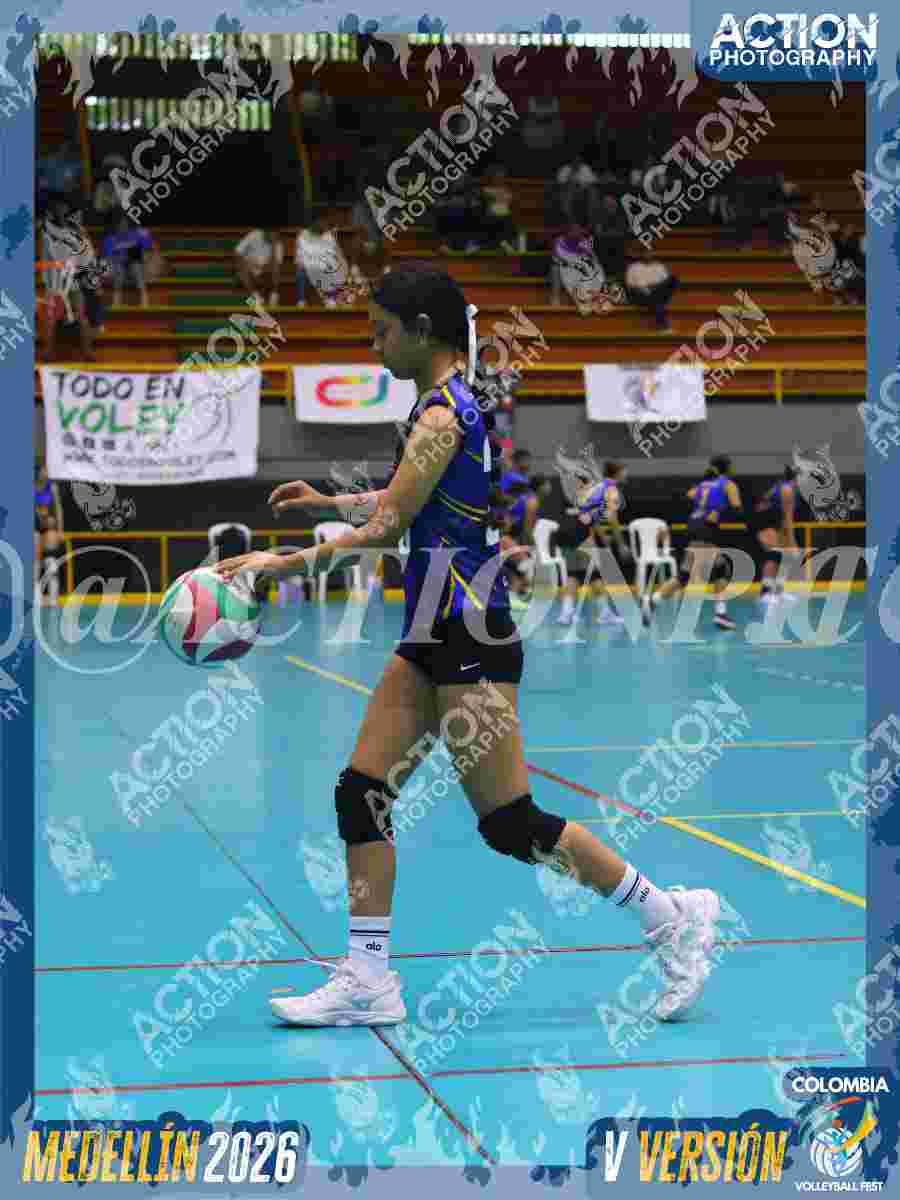 TIGRES JP Foto 11