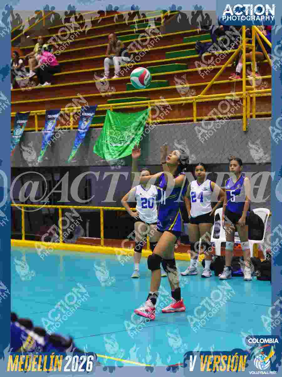 TIGRES JP Foto 11
