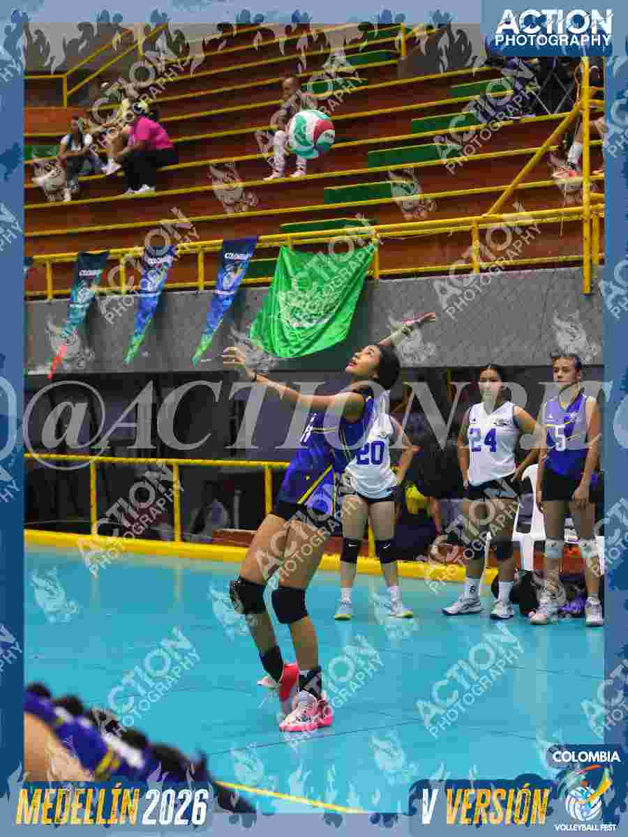 TIGRES JP Foto 11
