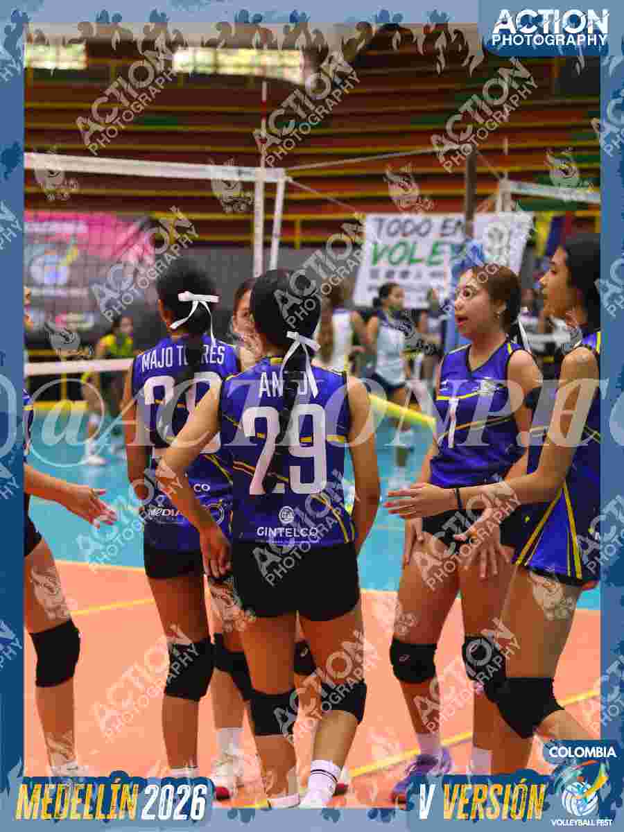 TIGRES JP Foto 11
