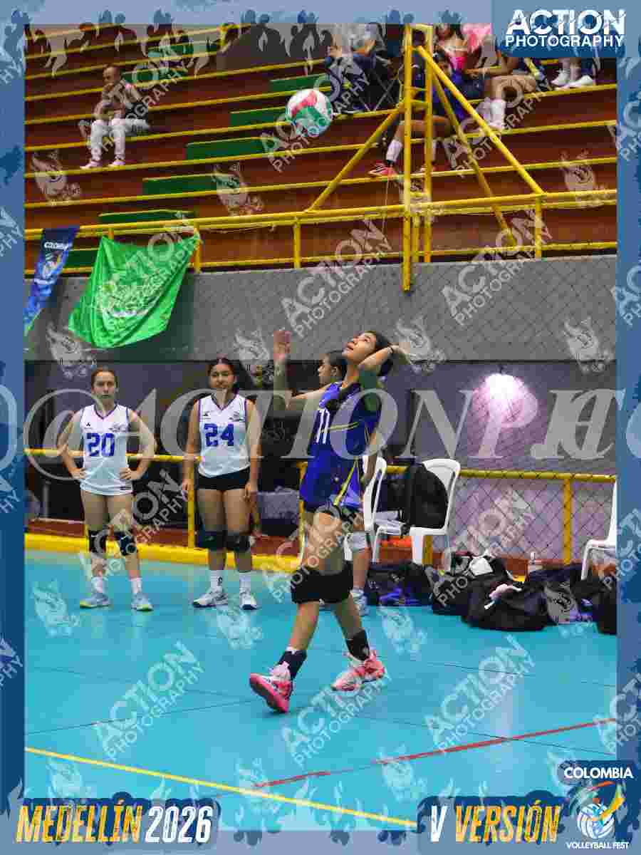 TIGRES JP Foto 1