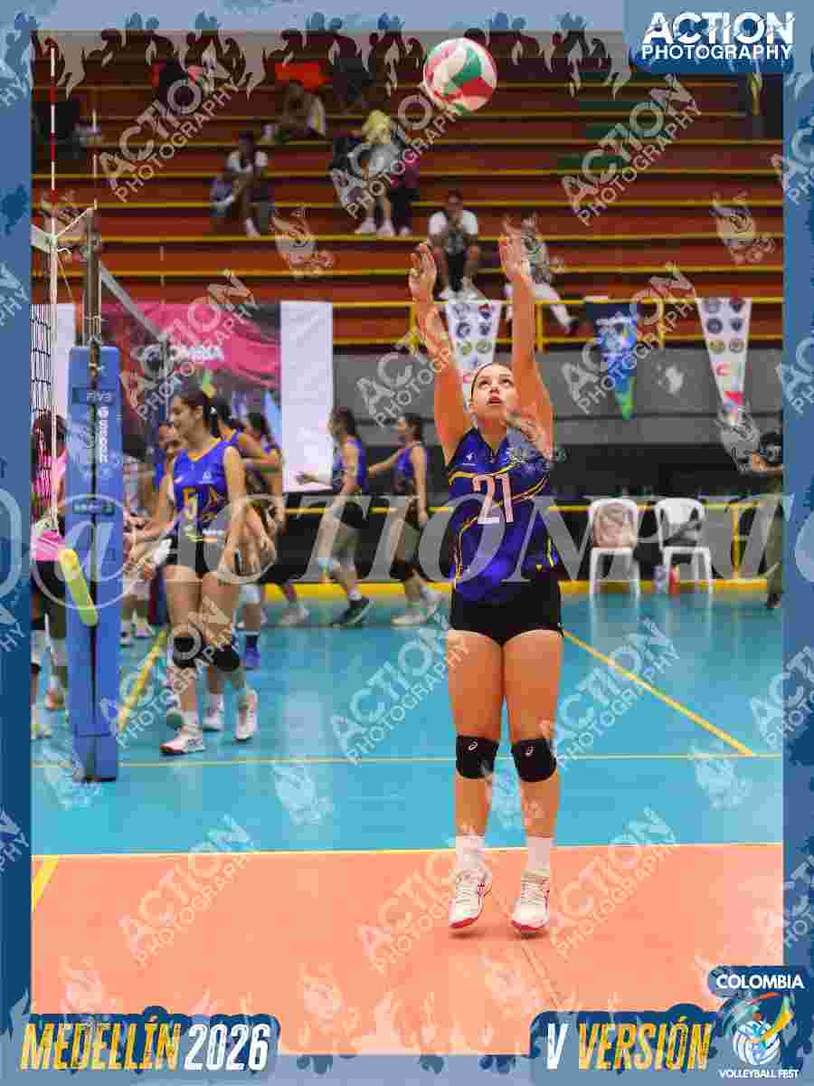 Preview de TIGRES JP