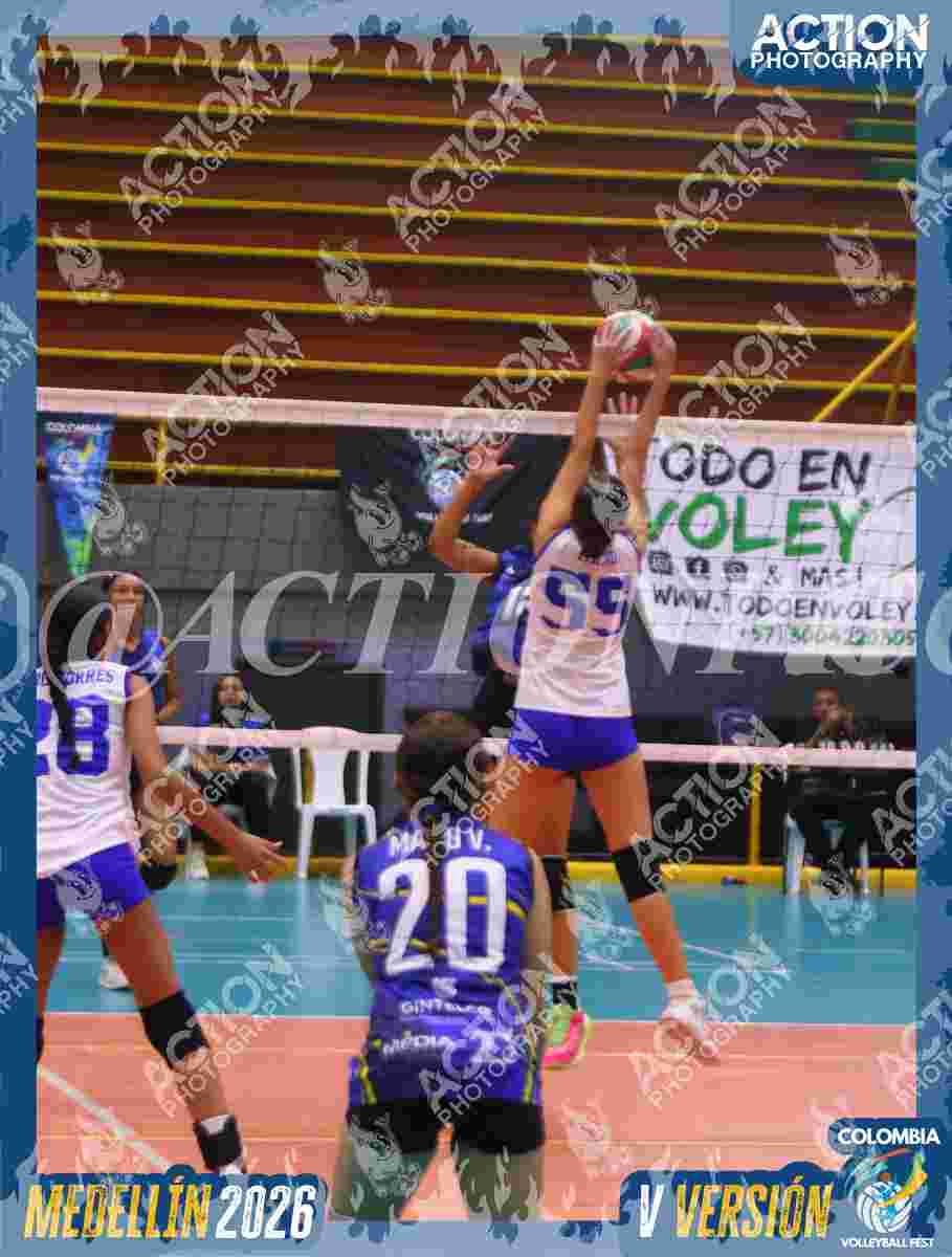 TIGRES JP Foto 4