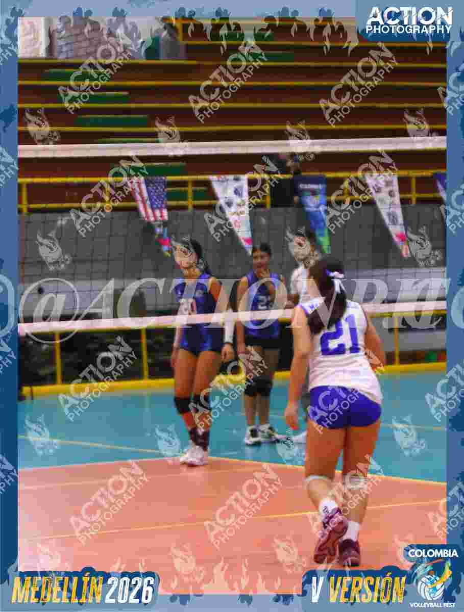 TIGRES JP Foto 4